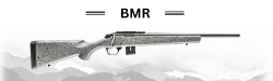 BMR 5